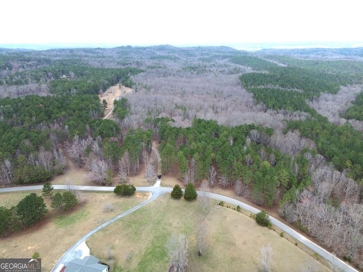 265 Evans Drive Buchanan - Photo 64