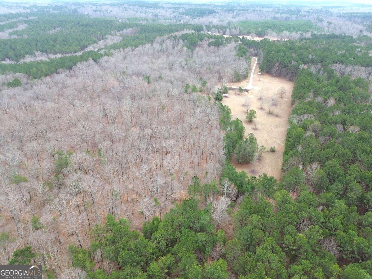 265 Evans Drive Buchanan - Photo 68