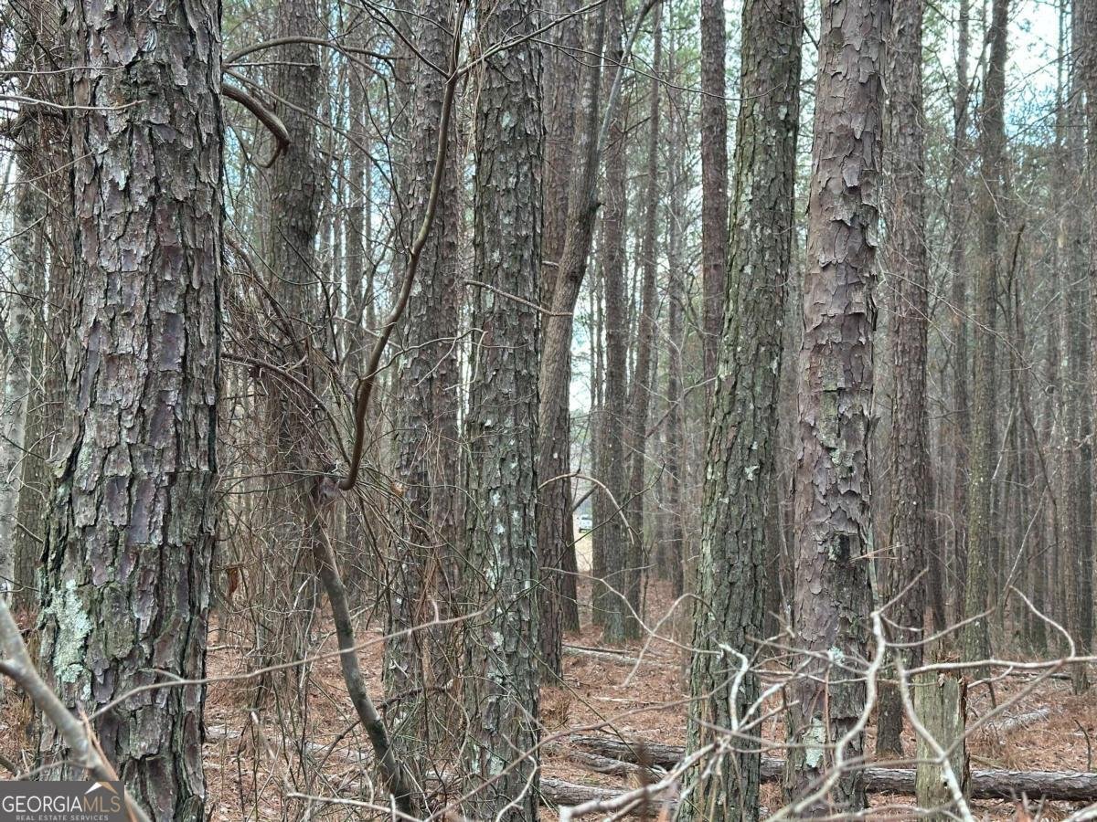 265 Evans Drive Buchanan - Photo 70