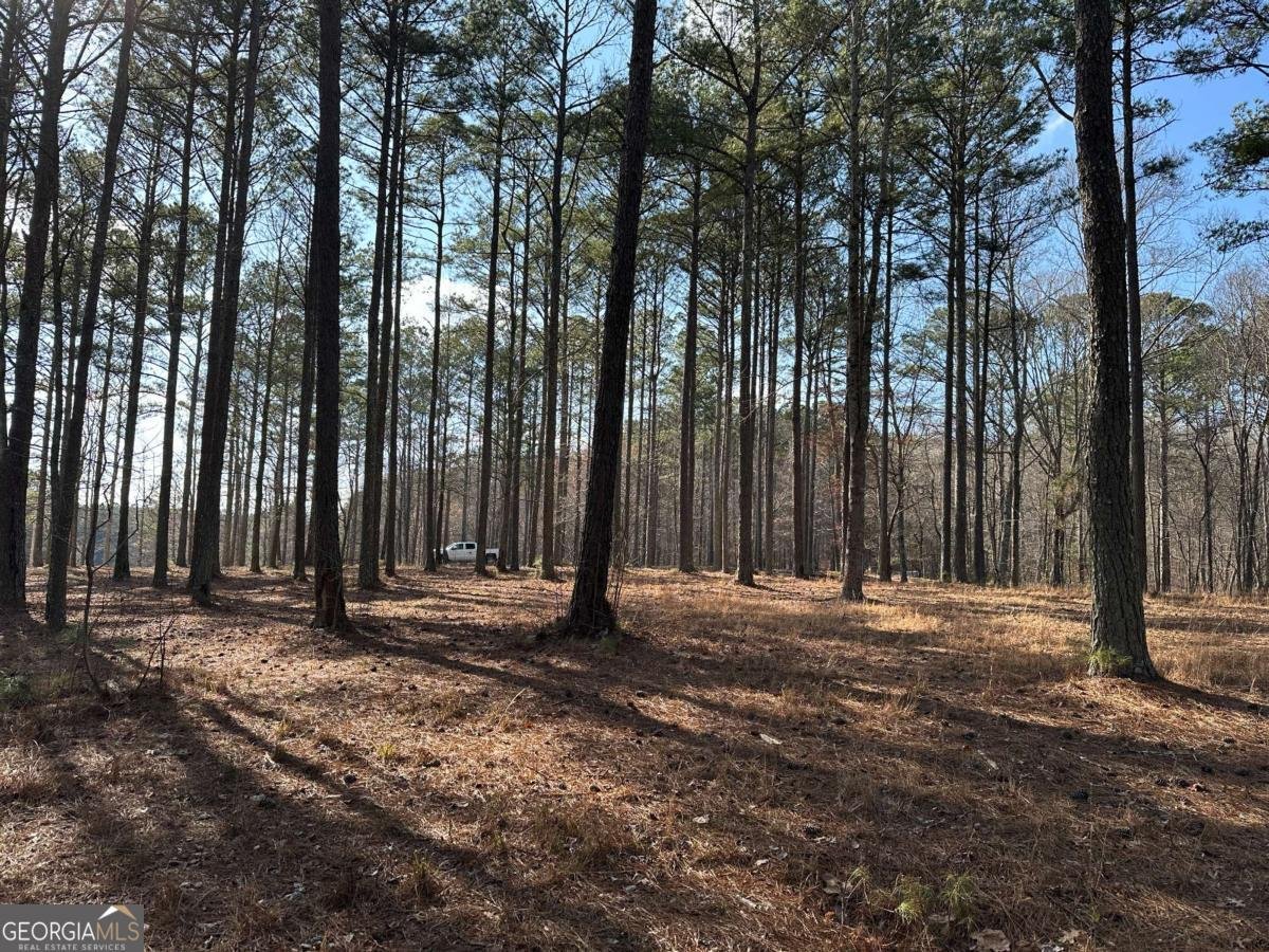 265 Evans Drive Buchanan - Photo 76