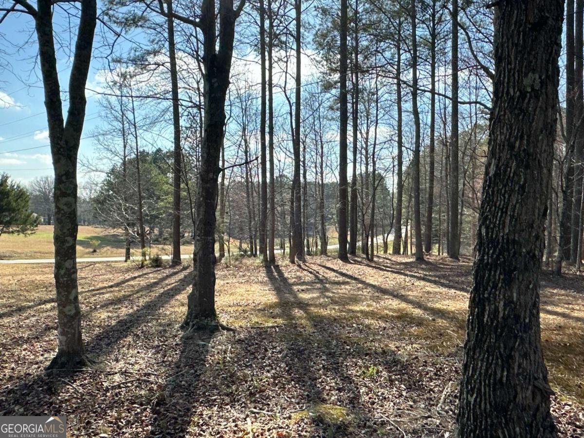 265 Evans Drive Buchanan - Photo 77