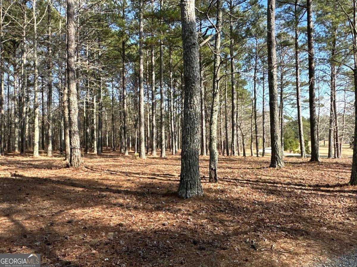 265 Evans Drive Buchanan - Photo 78