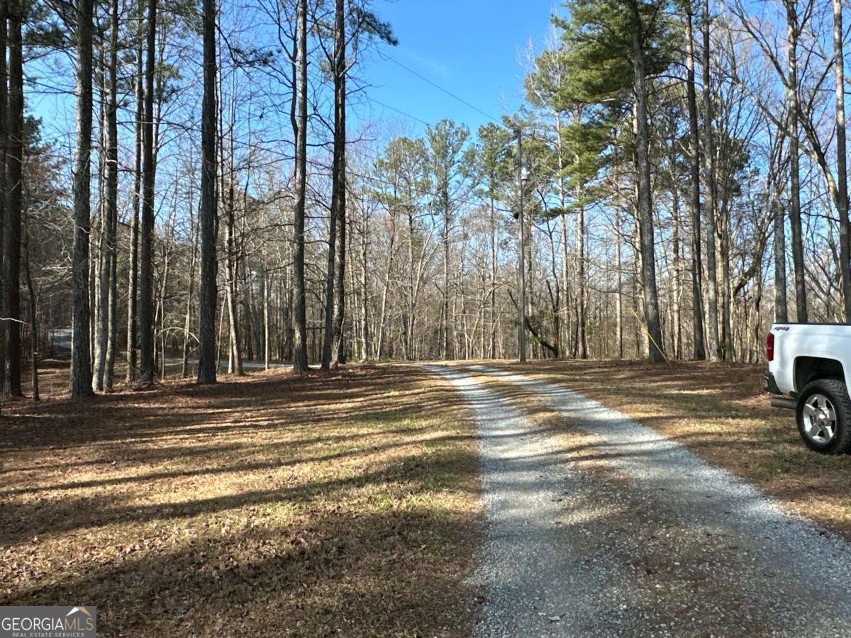 265 Evans Drive Buchanan - Photo 79