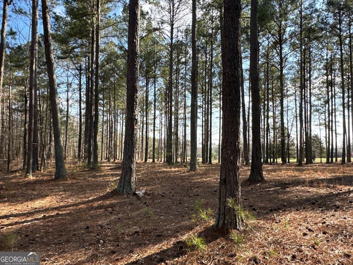 265 Evans Drive Buchanan - Photo 80