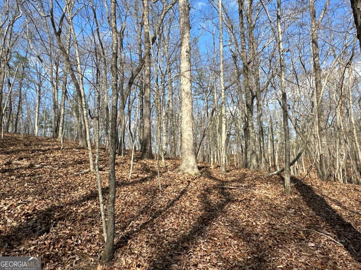 265 Evans Drive Buchanan - Photo 81