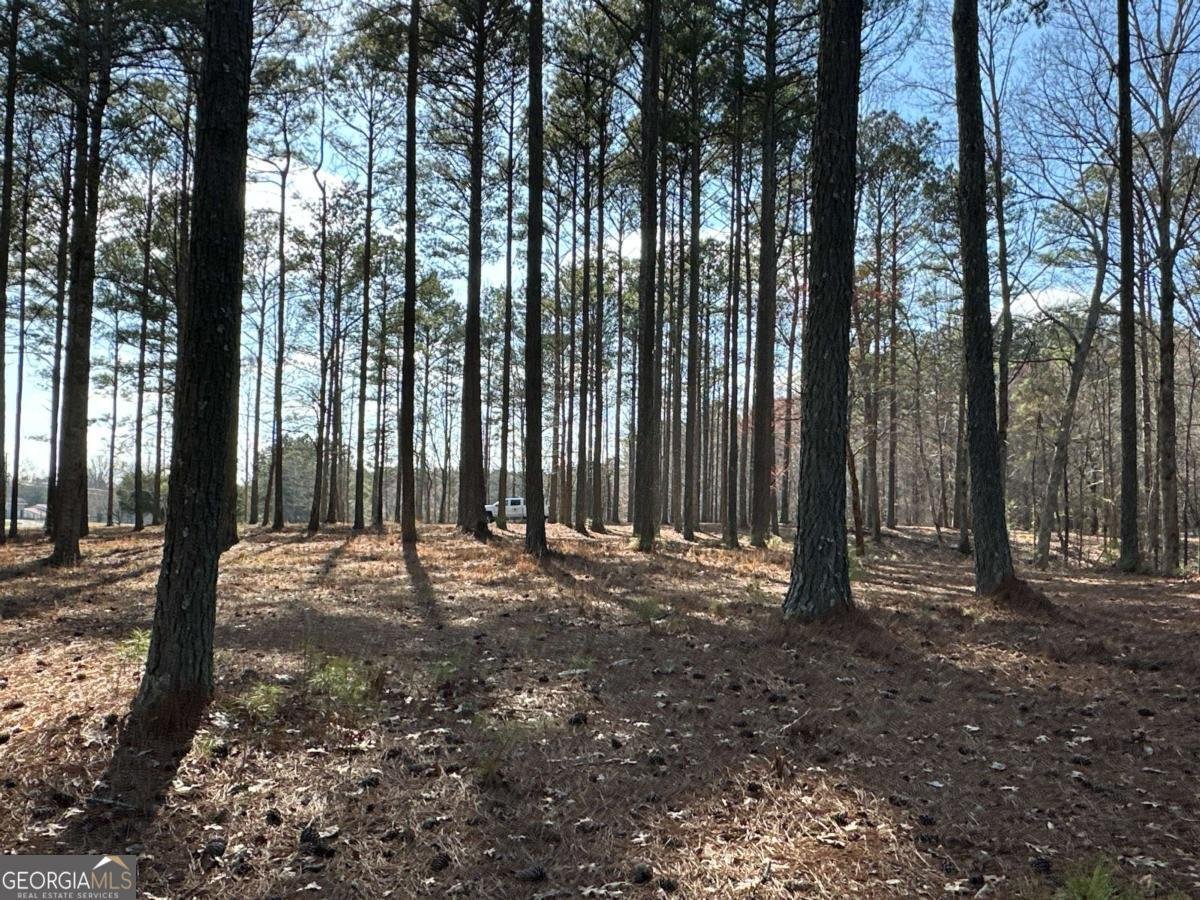 265 Evans Drive Buchanan - Photo 82