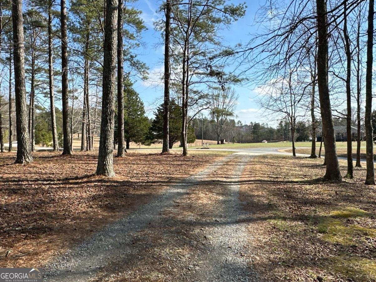 265 Evans Drive Buchanan - Photo 83