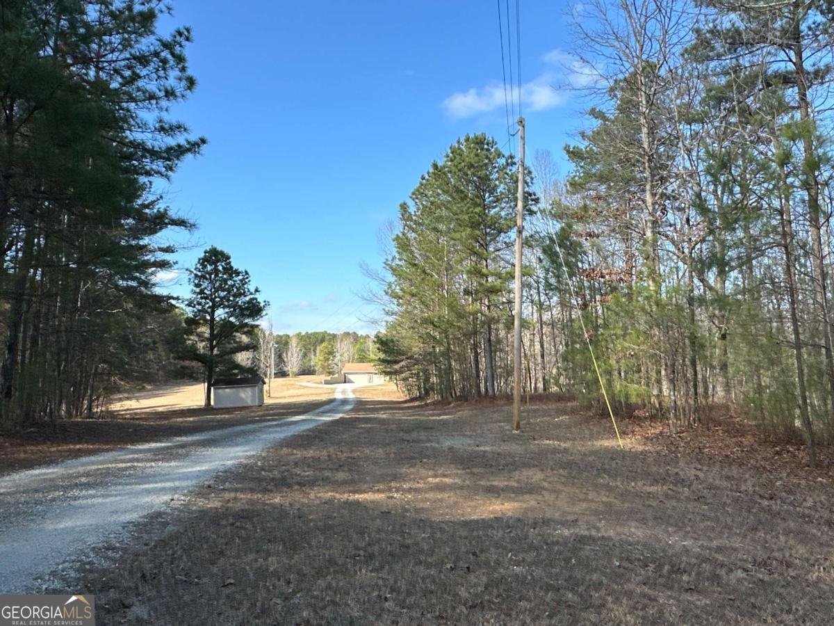 265 Evans Drive Buchanan - Photo 84