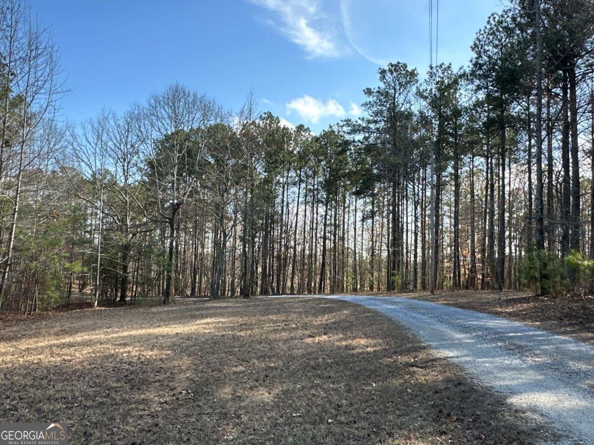 265 Evans Drive Buchanan - Photo 85