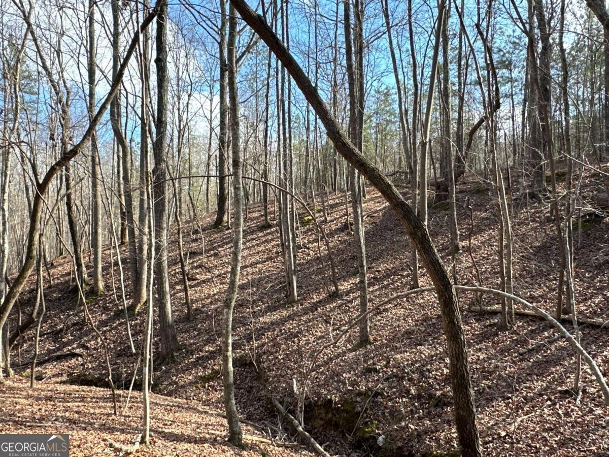 265 Evans Drive Buchanan - Photo 87