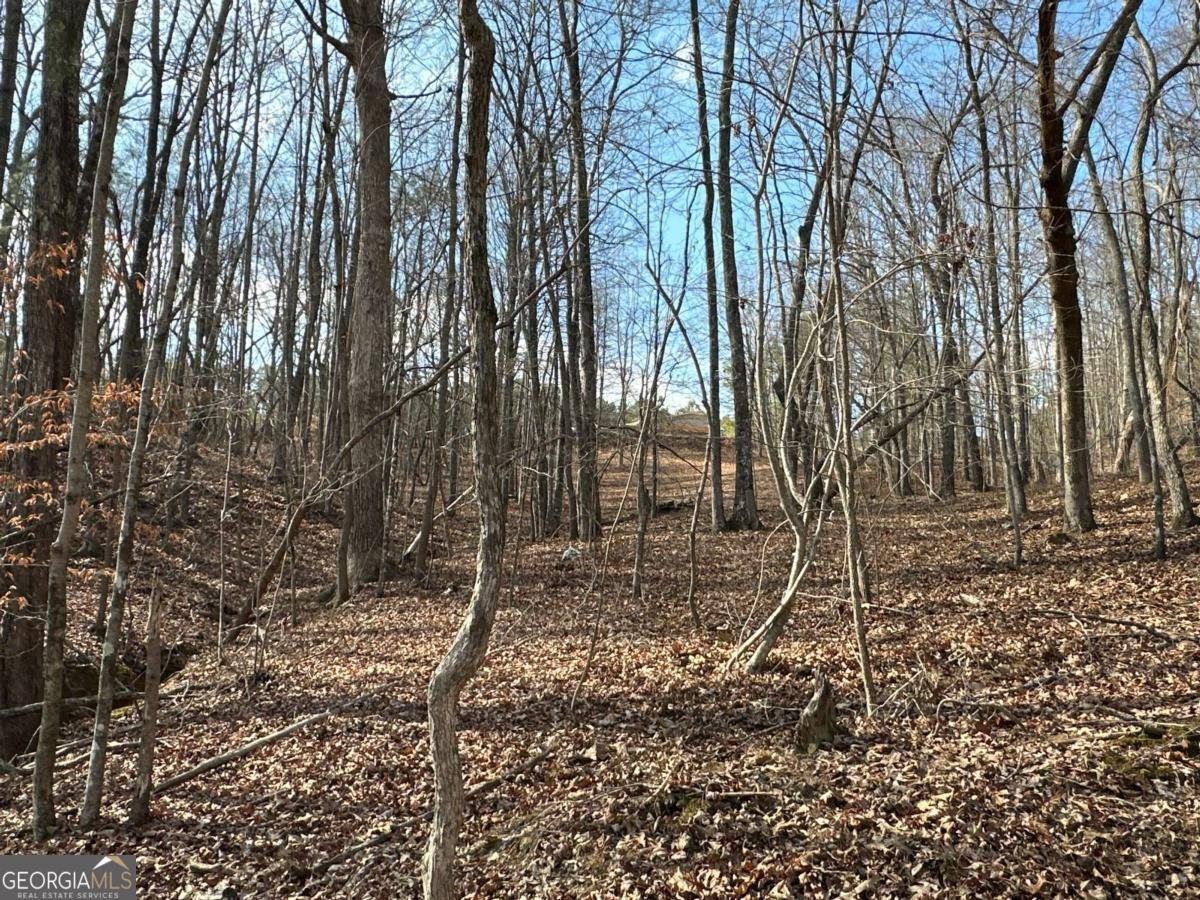 265 Evans Drive Buchanan - Photo 88