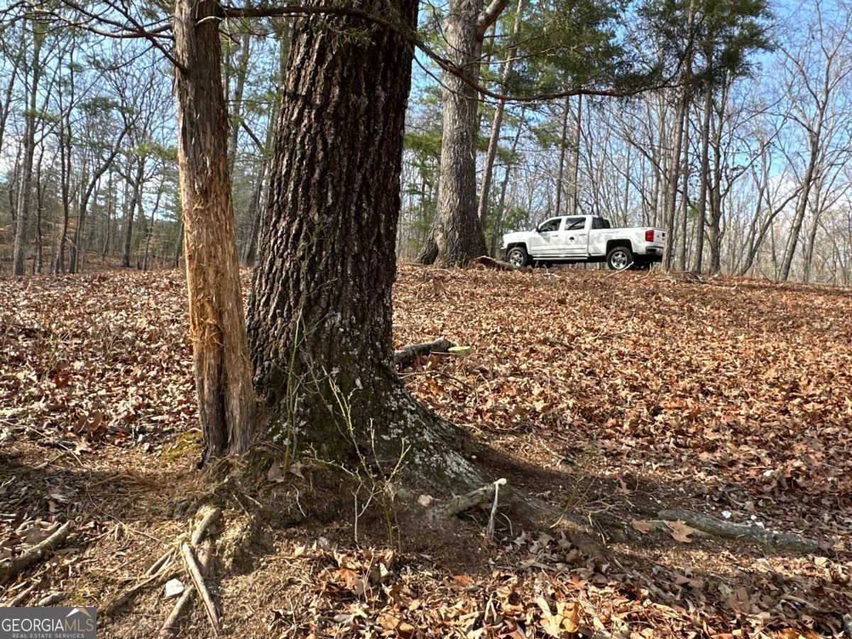 265 Evans Drive Buchanan - Photo 89