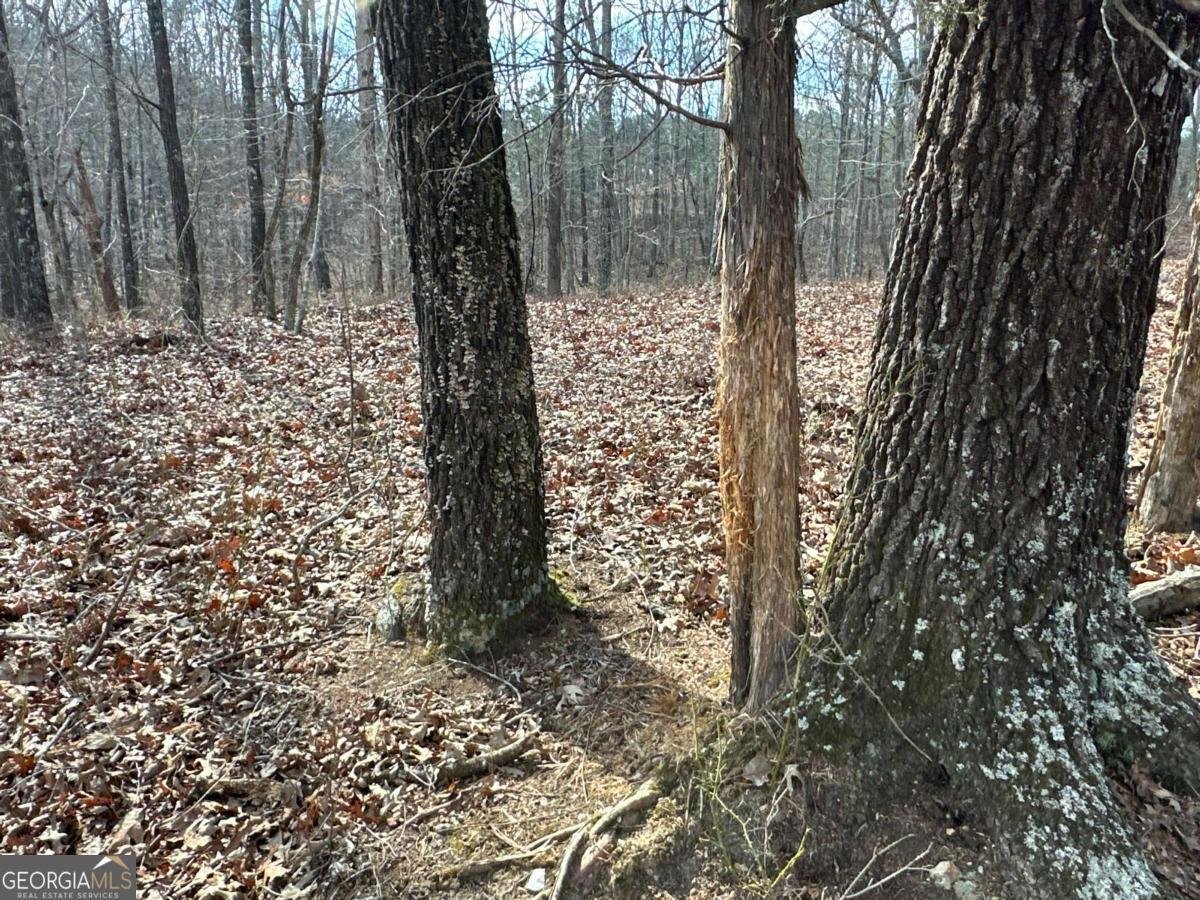 265 Evans Drive Buchanan - Photo 90