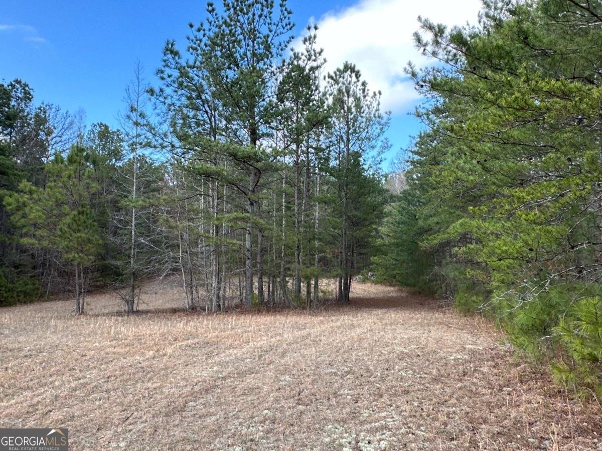 265 Evans Drive Buchanan - Photo 91