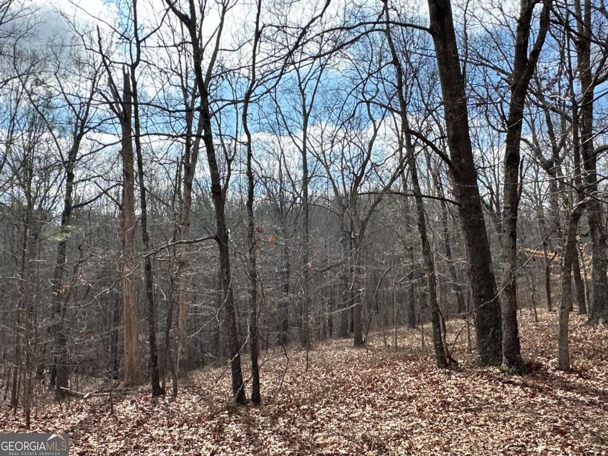 265 Evans Drive Buchanan - Photo 93