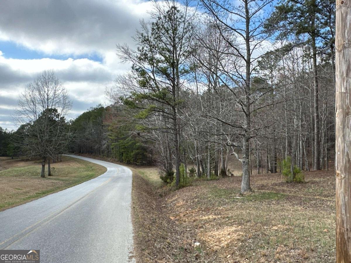 265 Evans Drive Buchanan - Photo 95