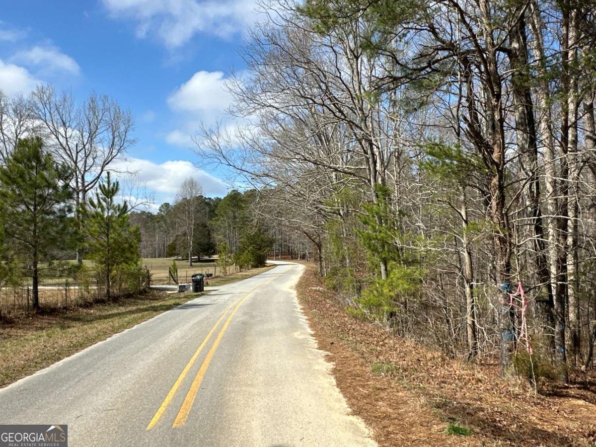 265 Evans Drive Buchanan - Photo 96