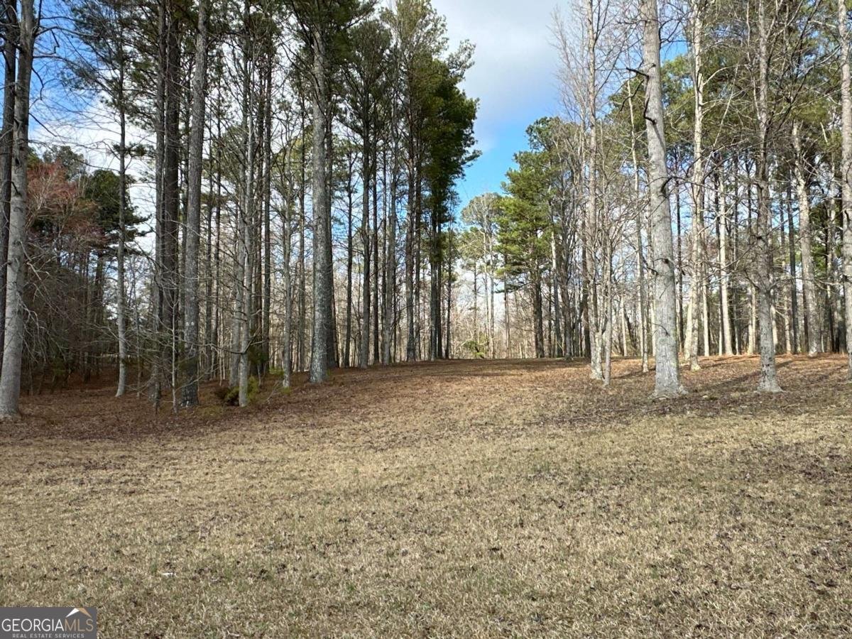 265 Evans Drive Buchanan - Photo 98