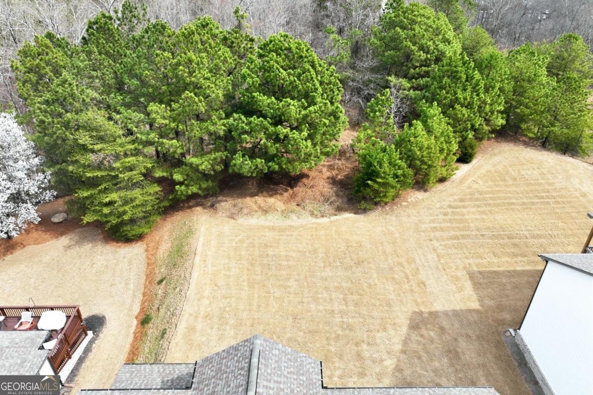 2673 Limestone Creek Drive Gainesville - Photo 43