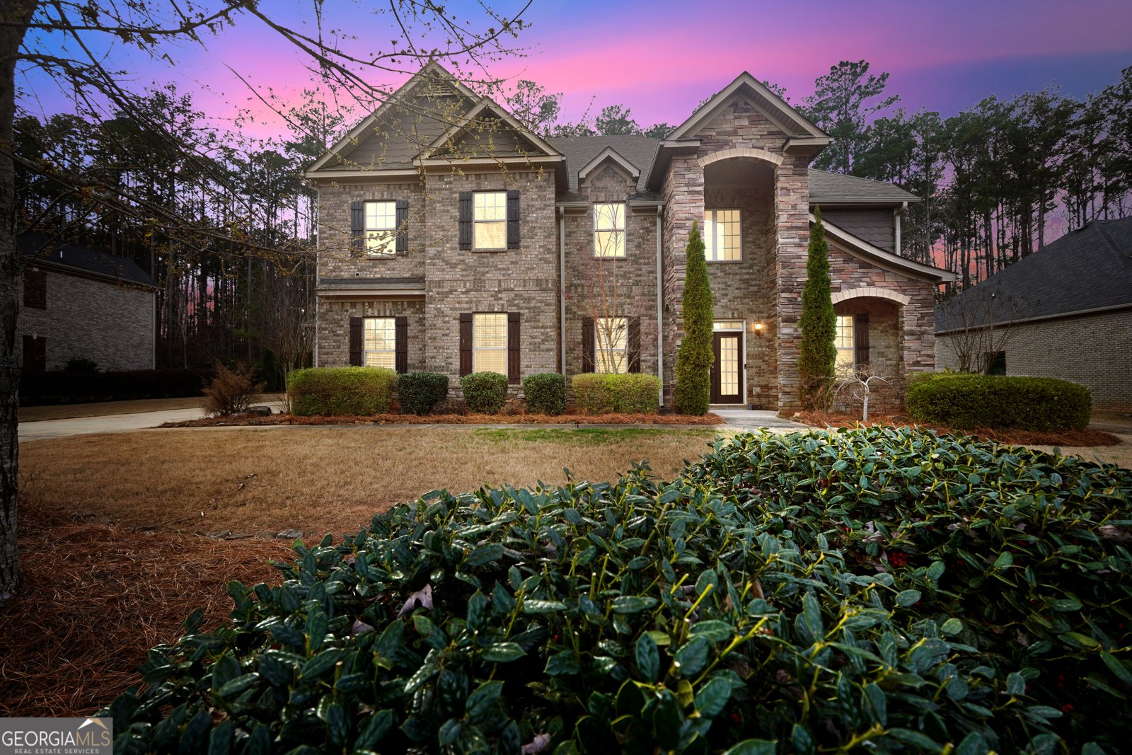 262 Shellbark Drive McDonough - Photo 1