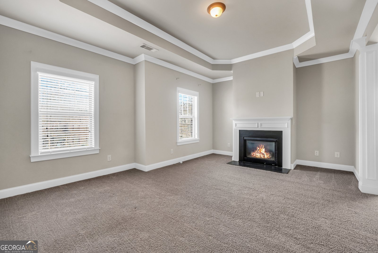 262 Shellbark Drive McDonough - Photo 26