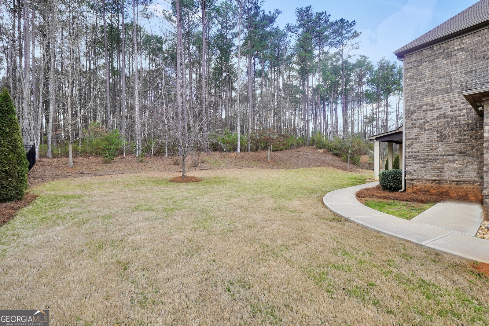 262 Shellbark Drive McDonough - Photo 44