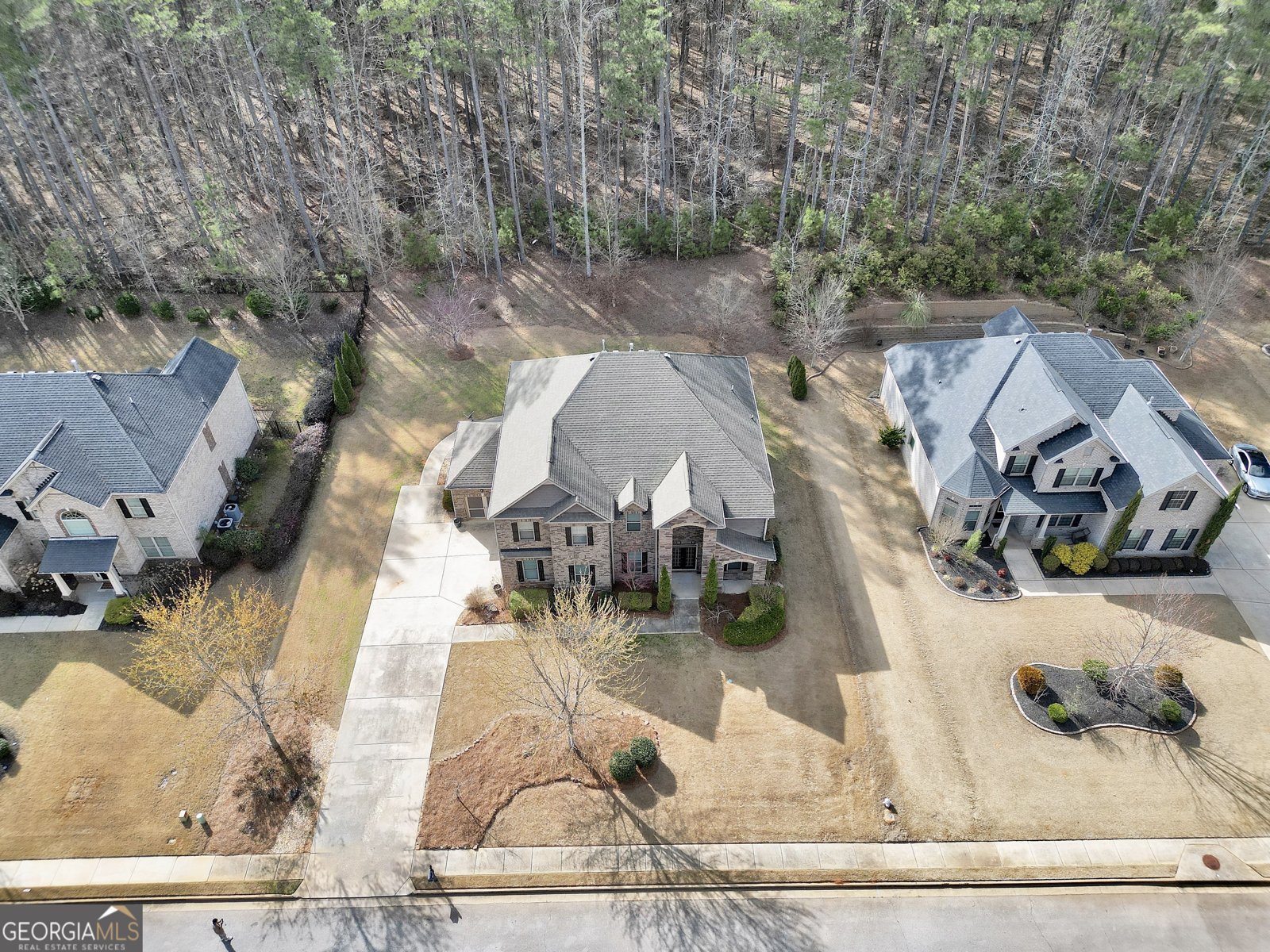 262 Shellbark Drive McDonough - Photo 45