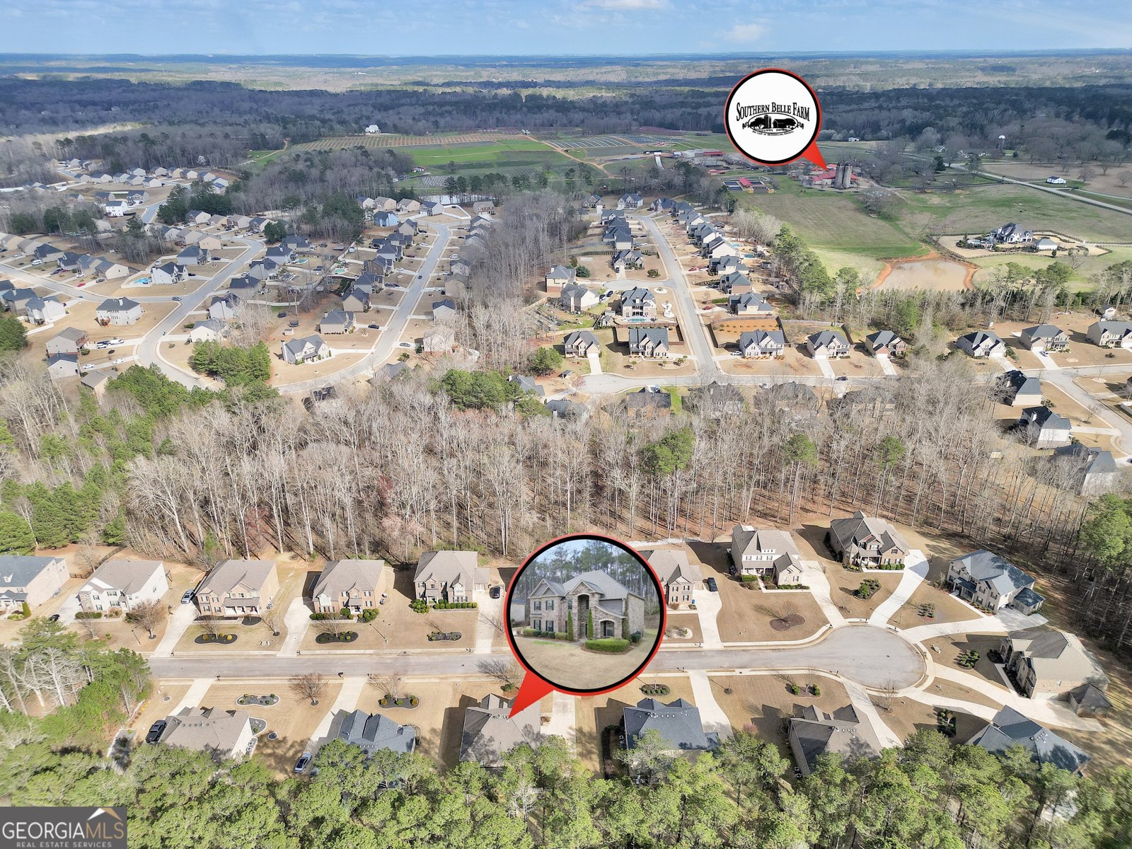 262 Shellbark Drive McDonough - Photo 46