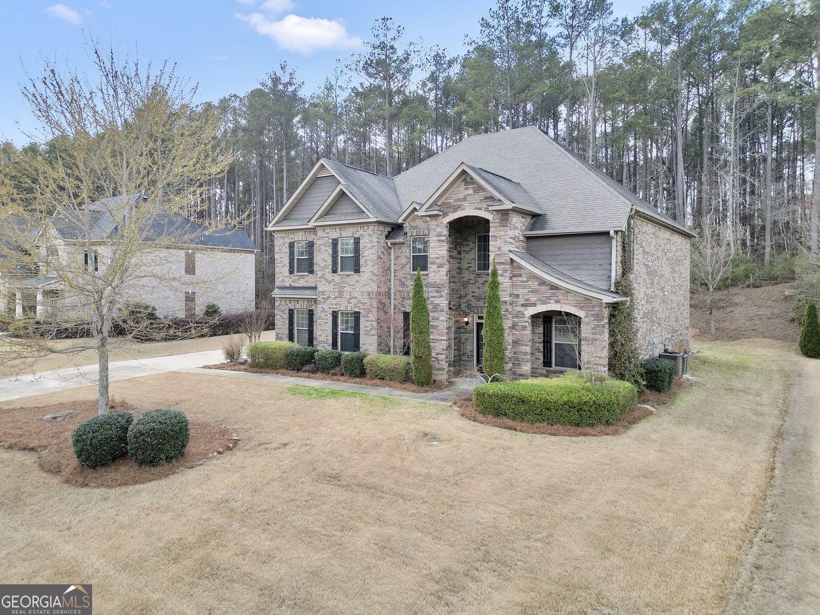 262 Shellbark Drive McDonough - Photo 47