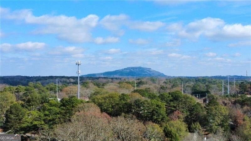 407 Sheppard Xing Court Stone Mountain - Photo 49