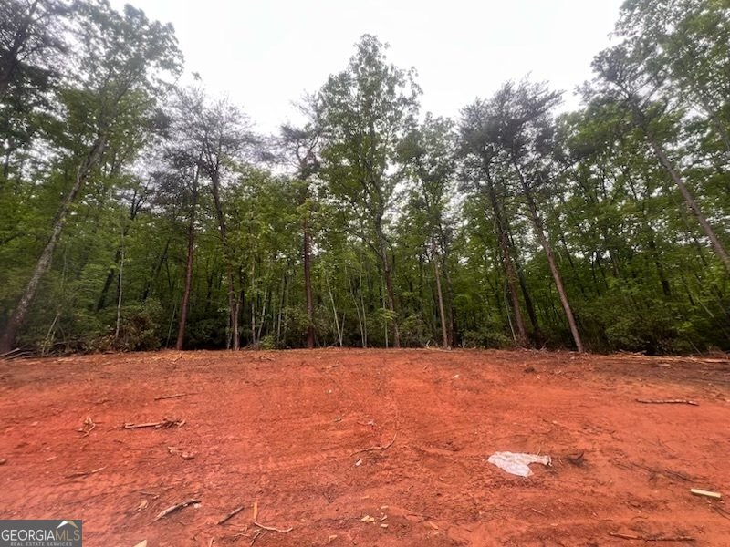 253 Fox Valley Road Clarkesville - Photo 12