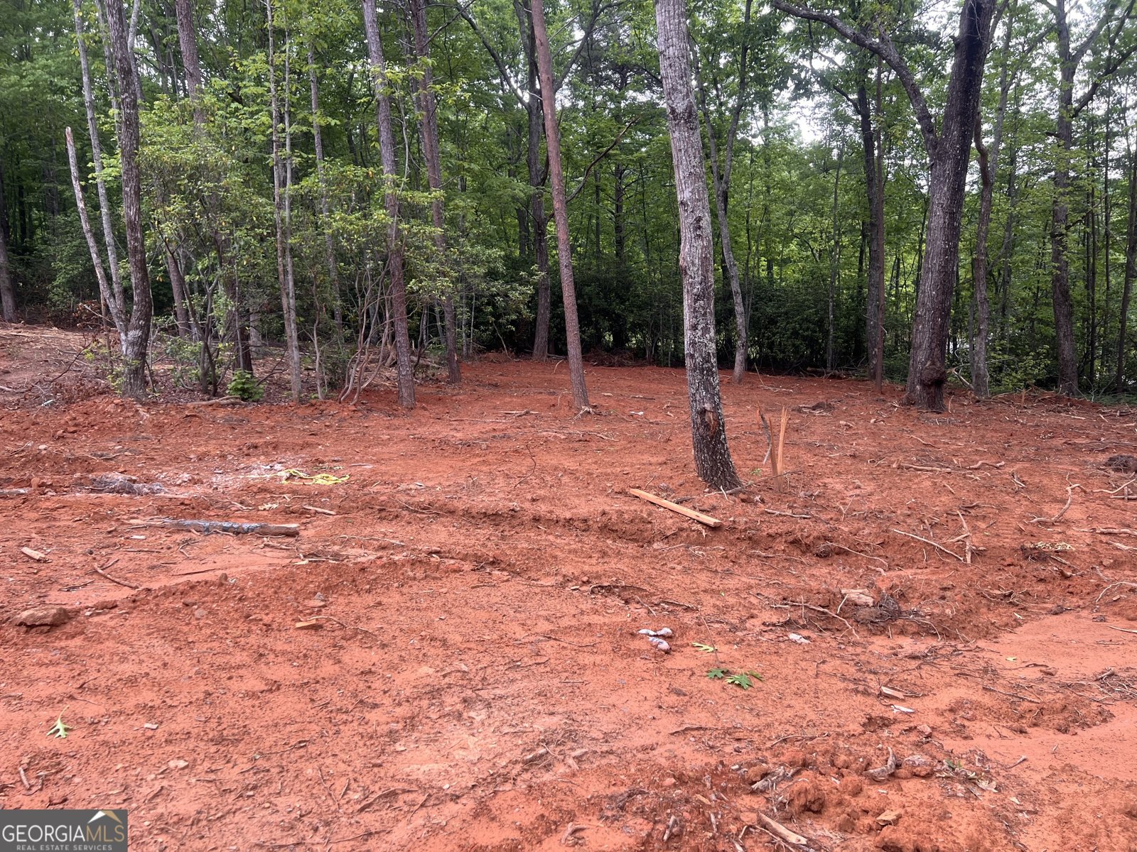 253 Fox Valley Road Clarkesville - Photo 35