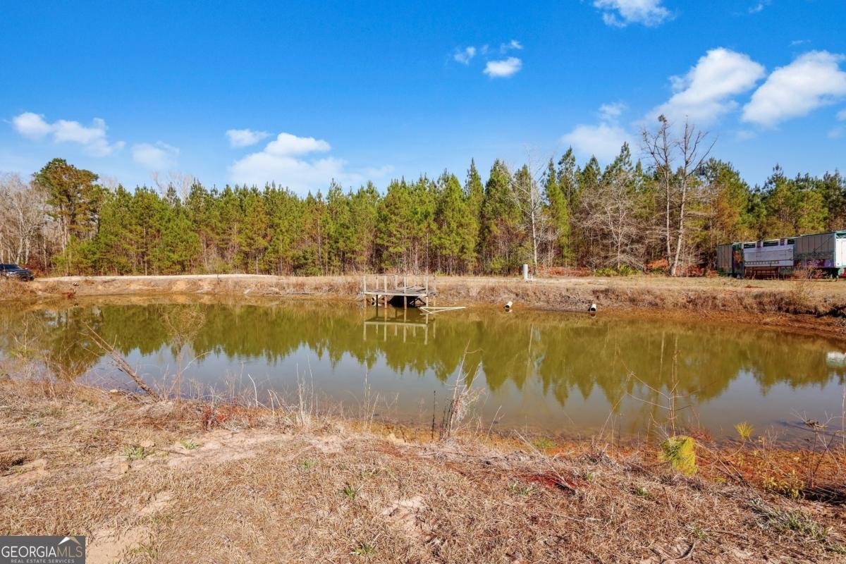 2505 Odum Road South Odum - Photo 25