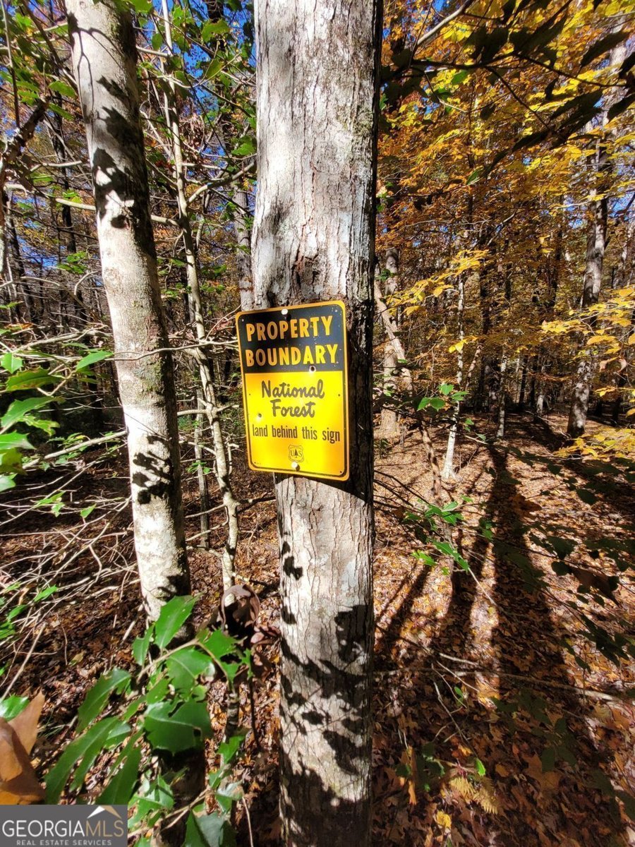 205 Briarwood Lane Clayton - Photo 48