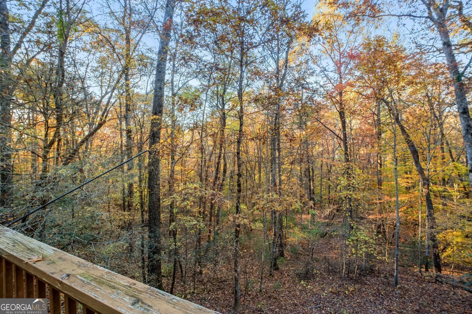 205 Briarwood Lane Clayton - Photo 49