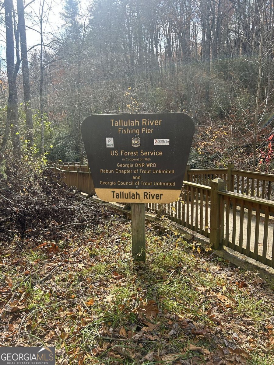 205 Briarwood Lane Clayton - Photo 62