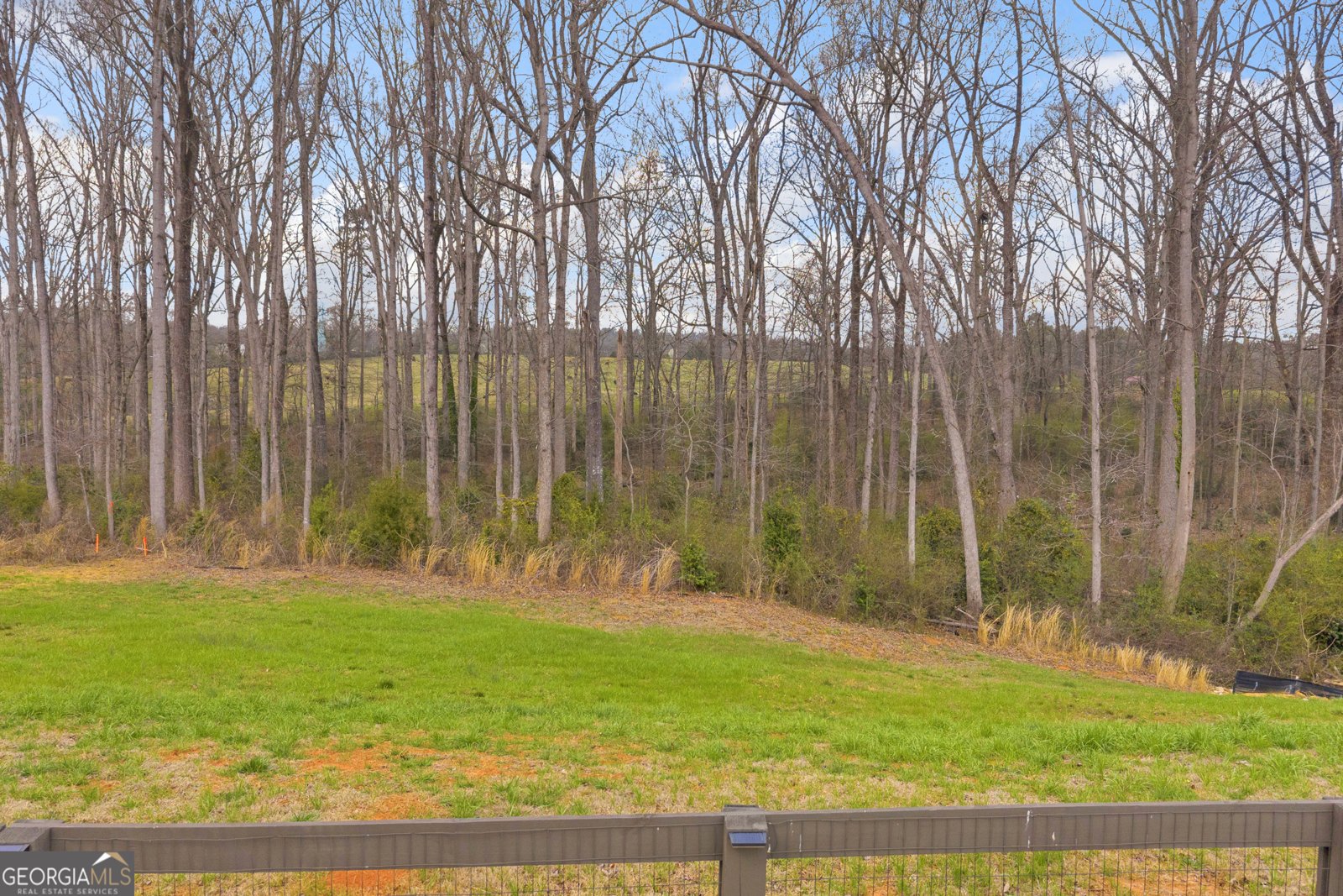 214 Franklin Hills Drive Carnesville - Photo 11