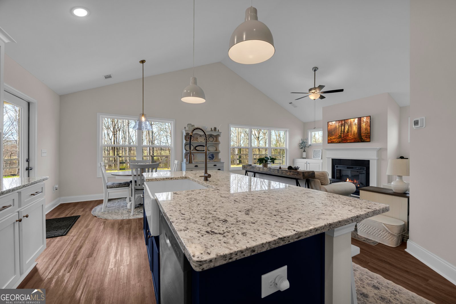 214 Franklin Hills Drive Carnesville - Photo 41