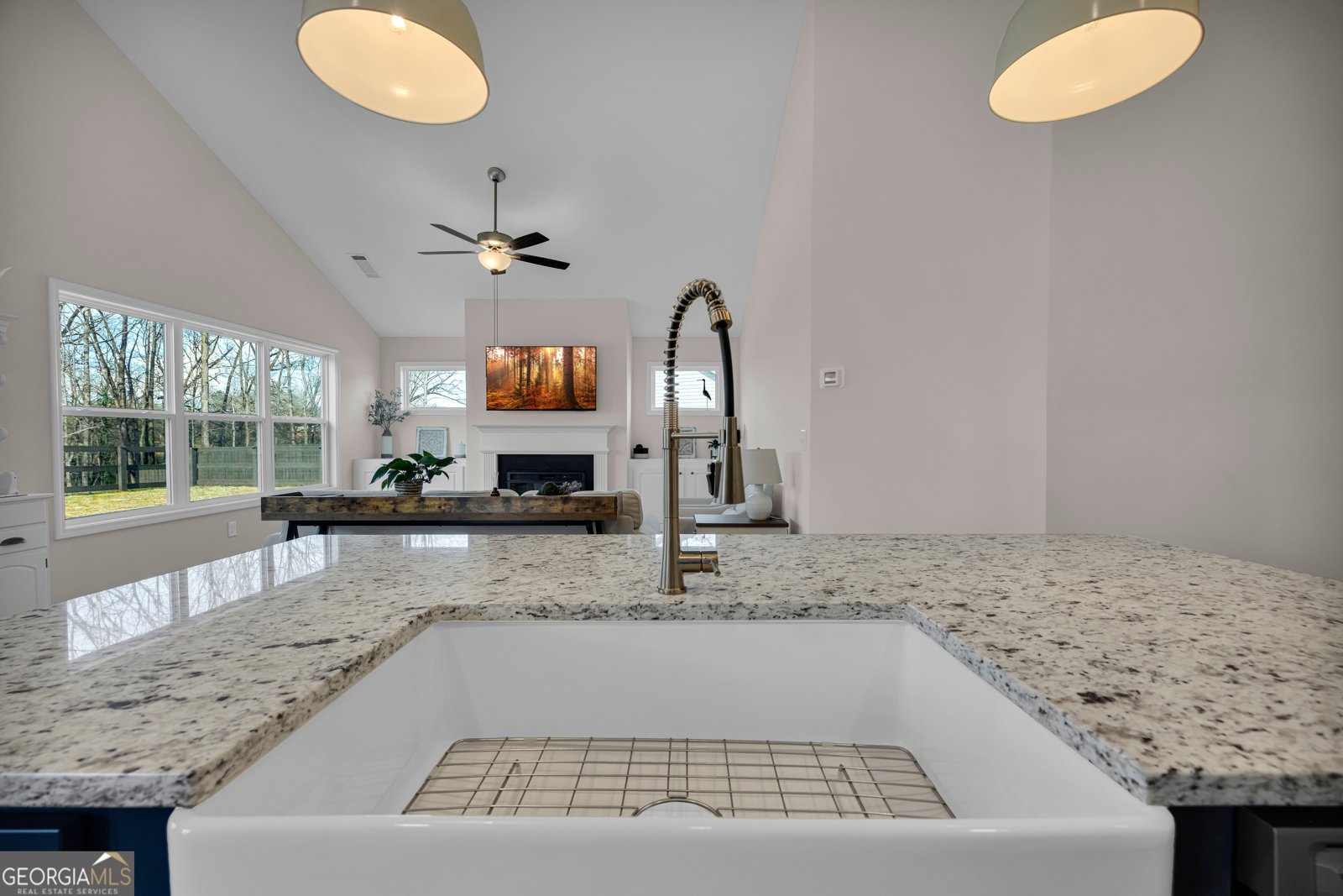 214 Franklin Hills Drive Carnesville - Photo 47