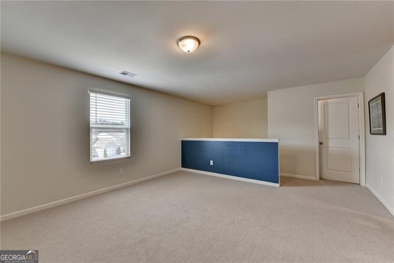 68 Shepard Drive Dawsonville - Photo 29