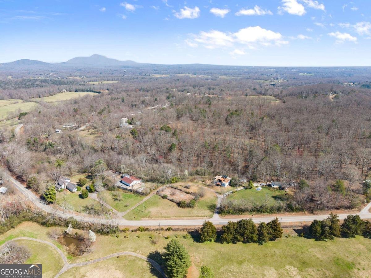 111 Skitts Mountain Road Cleveland - Photo 59