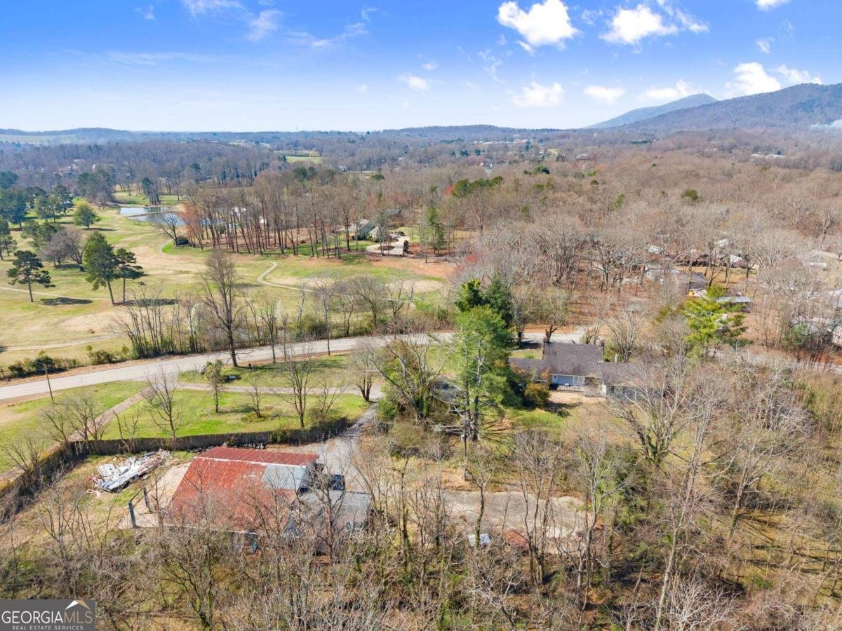 111 Skitts Mountain Road Cleveland - Photo 6