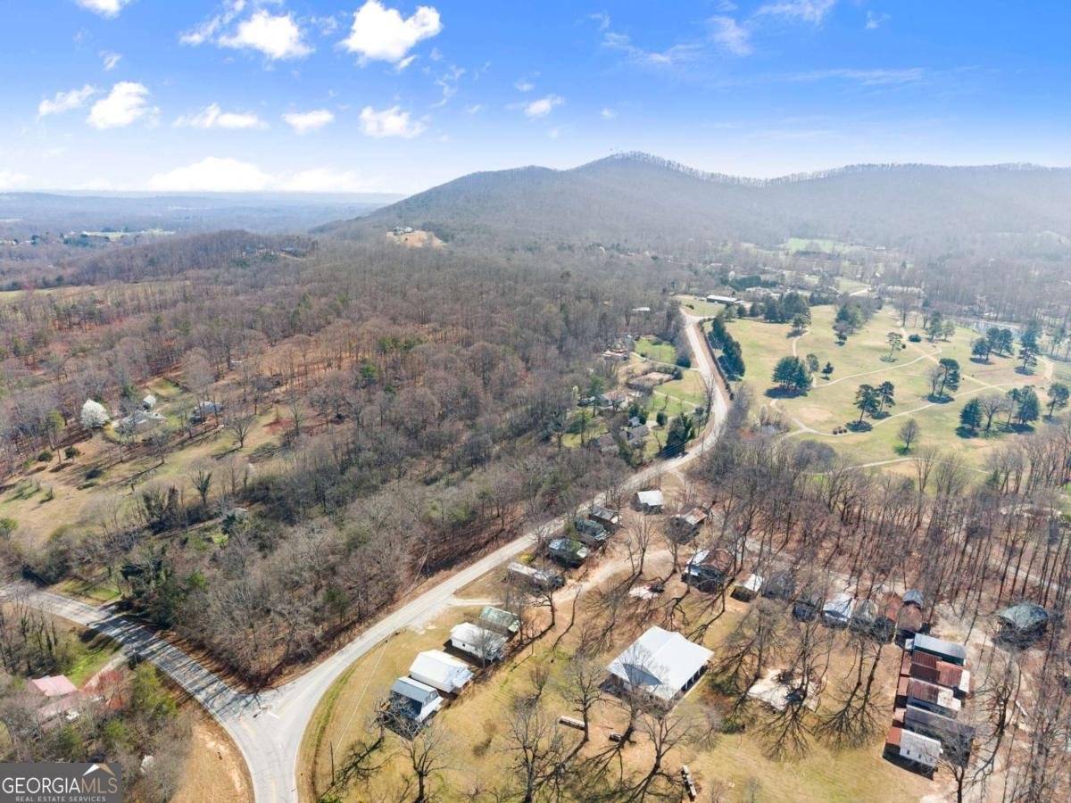 111 Skitts Mountain Road Cleveland - Photo 61