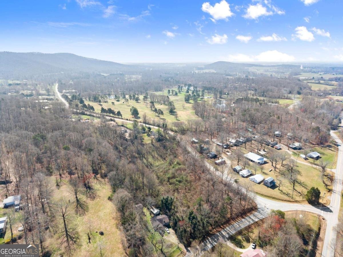 111 Skitts Mountain Road Cleveland - Photo 62