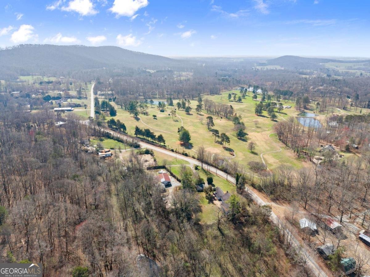 111 Skitts Mountain Road Cleveland - Photo 63