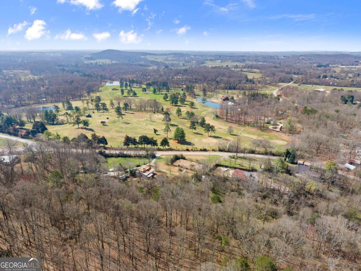 111 Skitts Mountain Road Cleveland - Photo 64