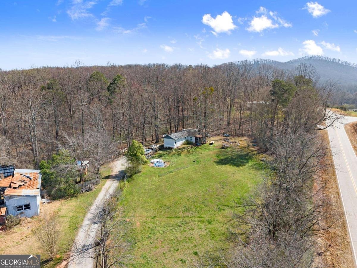 111 Skitts Mountain Road Cleveland - Photo 9