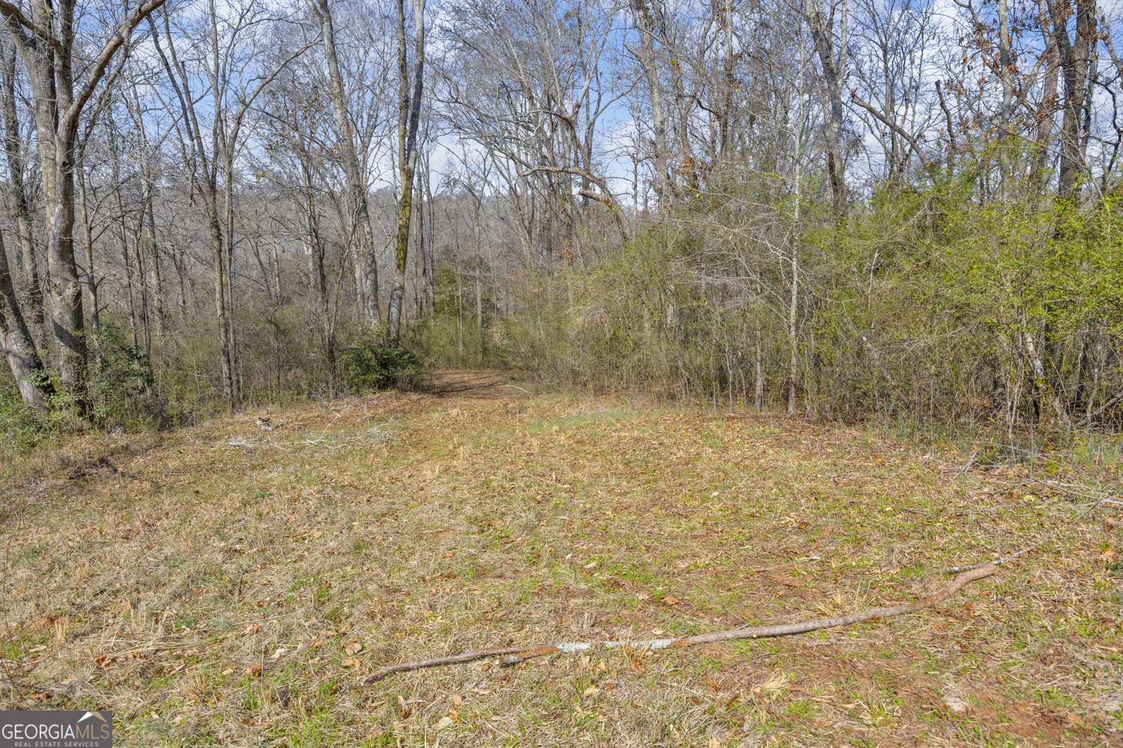 5354 Highway 29 Royston - Photo 39