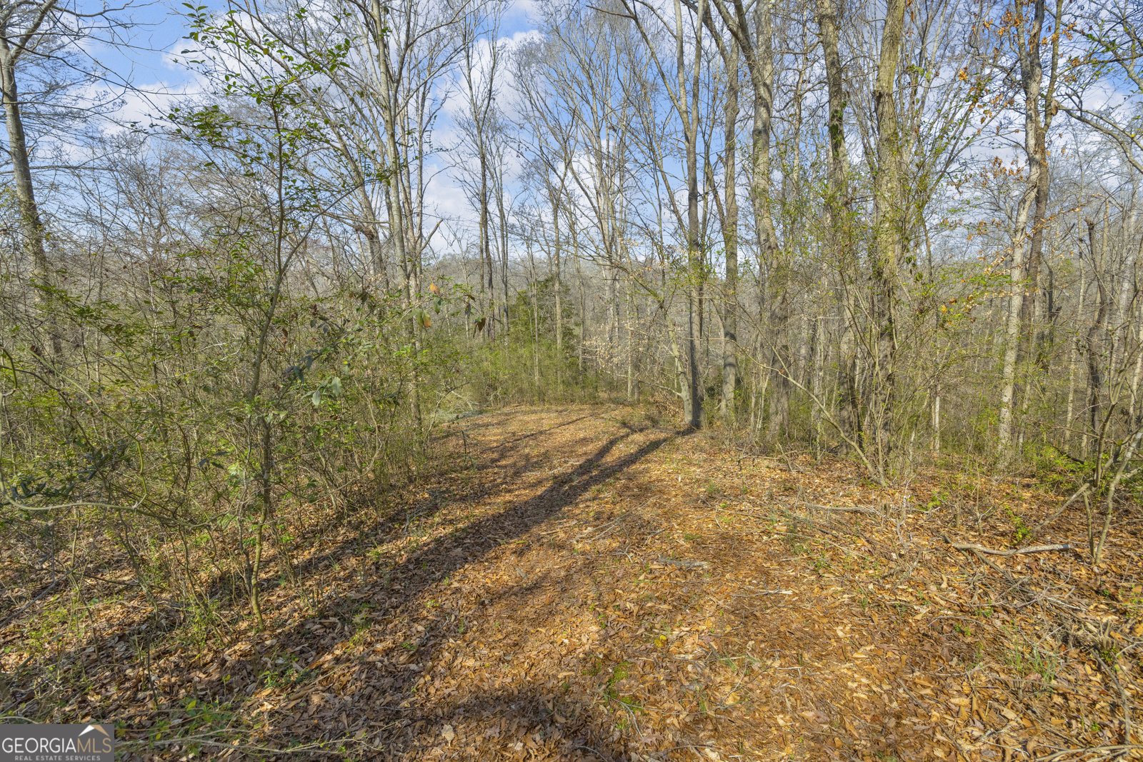 5354 Highway 29 Royston - Photo 40