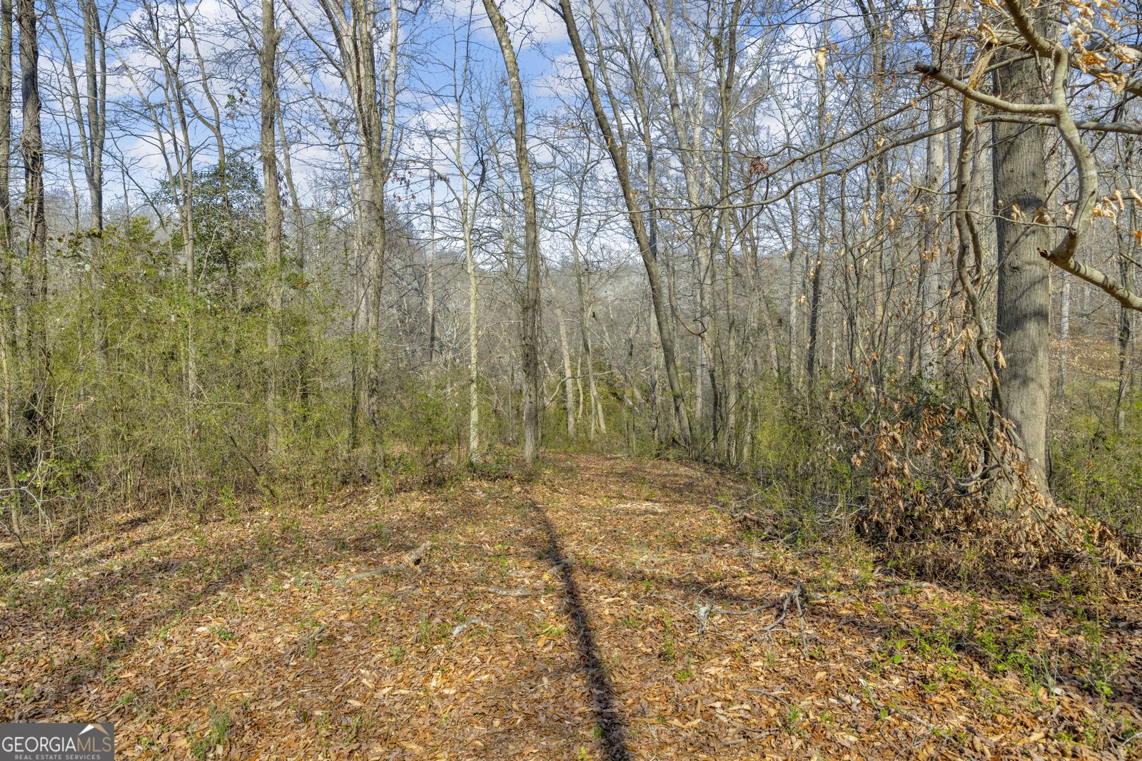 5354 Highway 29 Royston - Photo 41